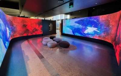 Project Spotlight – Murrook