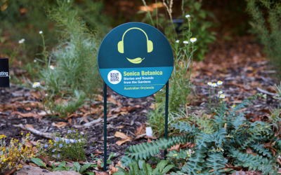 Project Spotlight -Sonica Botanica and the case for audio experiences in botanic gardens