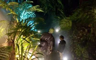 Project Spotlight – Twilight tours at the Australian National Botanic Gardens
